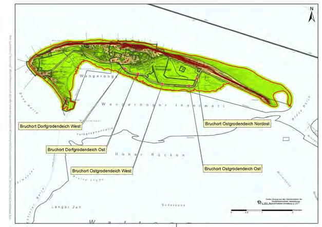 Abb. 97: Lage der Bruchlokationen für die szenariobasierte Schadensanalyse für die Insel Wangerooge Für die Überflutungssimulation im 2D-Bereich wird, wie bei den bisher beschriebenen Simulationen,