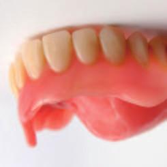 Patienten Komplette Setups von Zahnaufstellungen integriert