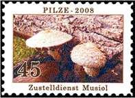 6. November 2008 - Ausgabe "Pilze" selbstklebend - MiNr 26/0 Kpl.