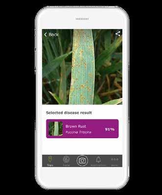 Der App- und Web-basierte Entscheidungshelfer verfügt über drei Hauptfunktionen, die dem Landwirt den Pfl anzenschutz erleichtern und die Pfl ege seiner Felder effi zienter machen.