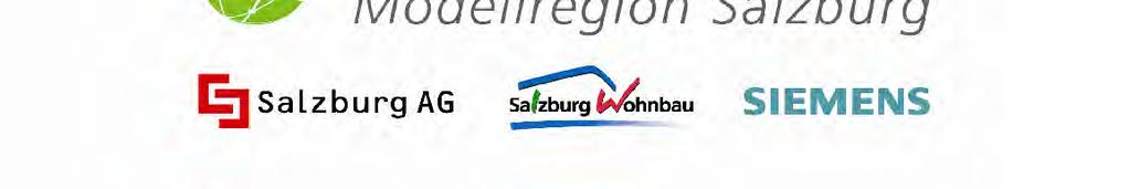 Erfahrungen aus der Modellregion Salzburg: Von der