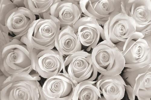 Brautstrauß mein Brautstrauß & Ansteckblume geschmackvoller Blumenschmuck zu Ihrem großen Moment Machen Sie aus einen Brautstrauß meinen Brautstrauß und suchen Sie sich Ihr persönliches