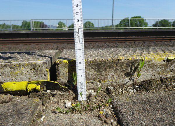 Abbildung 4: Mehr als 6 cm tiefe Absackungen wurden vor der Bahnsteigkante an Gleis 1 in Burg (Dithm) erfasst.