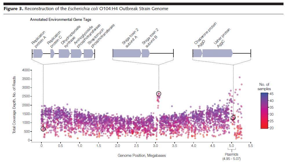 Metagenomics allows for culture-free detection and genome reconstruction directly