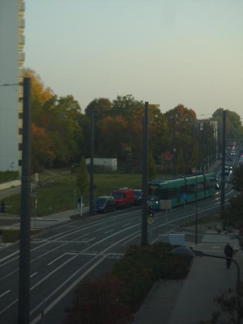 Blick von S-Bahn aus www.