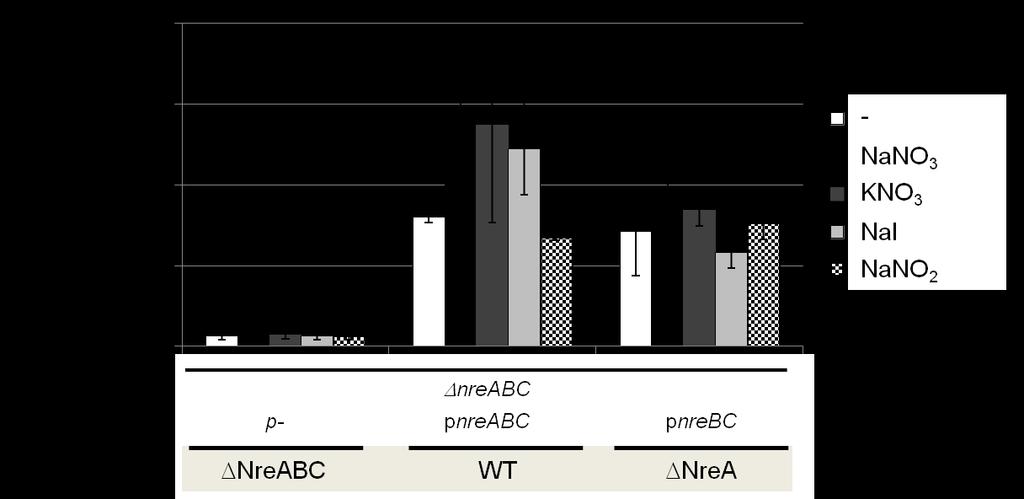 Ergebnisse Abbildung 4.24: Lipaseaktivität (narg-lip Expression) nach anaerober Stimulierung der narg-lip Expression durch Nitrat, Iodid und Nitrit.