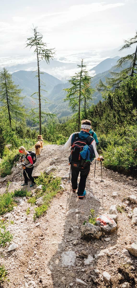 Der Weitwanderweg führt vom Fuße des höchsten Berges Österreichs, dem Großglockner, durch die schönen Kärntner Berg- und Seengebiete, entlang des Kreuzungspunktes Österreich, Italien und Slowenien