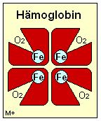an Hämoglobin MCH < 27 pg Mangel an Volumen