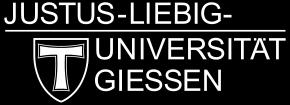 Lehrbeauftragter Universität Gießen