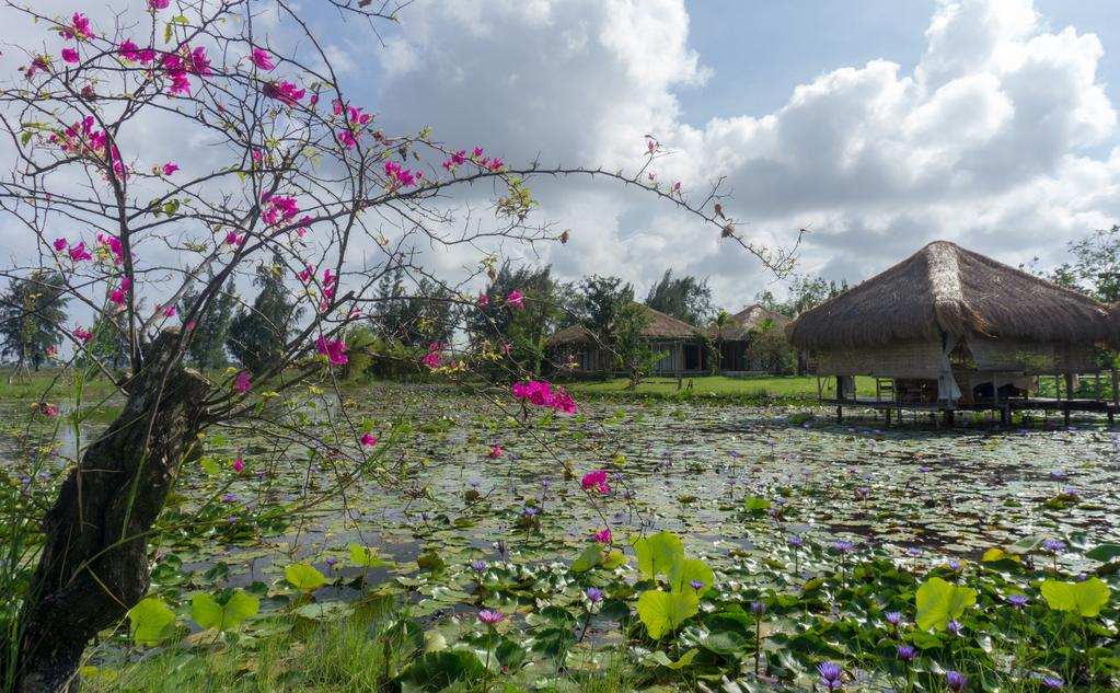 Lotus Hoi An 2017