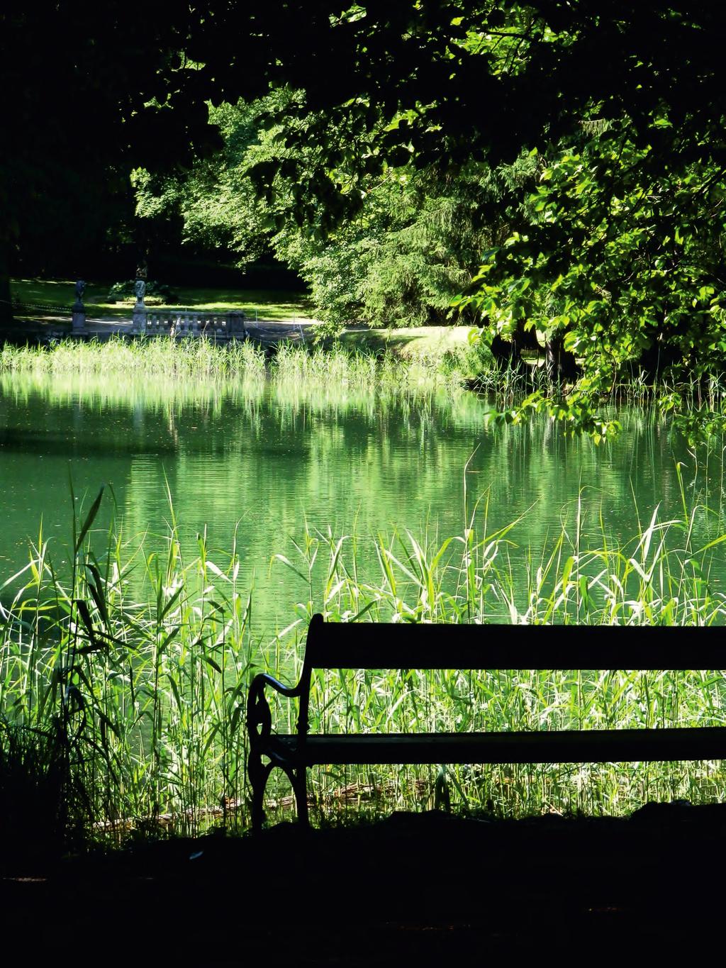 Anna ist bei jedem Wetter unterwegs. Am liebsten fährt sie in den Park. Er ist am Ende der Siedlung. Dort sitzt sie oft viele Stunden am Teich. Sie beobachtet die Enten.