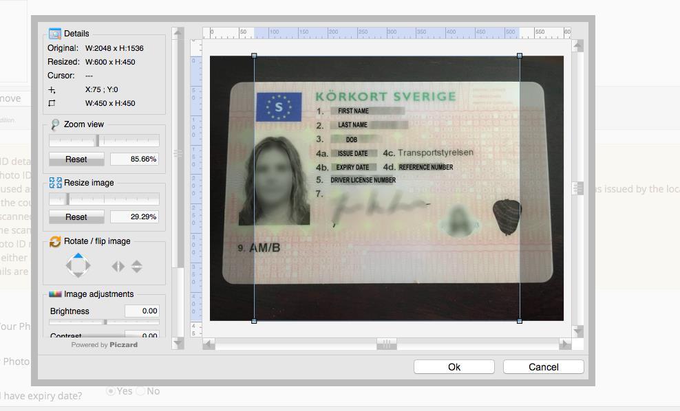 Wenn Sie Ihr Dokument als Bild hochladen, müssen Sie möglicherweise Flash Player aktivieren, um mithilfe des Piczard-Werkzeugs Anpassungen am Bild vornehmen zu können (siehe Bild #1).