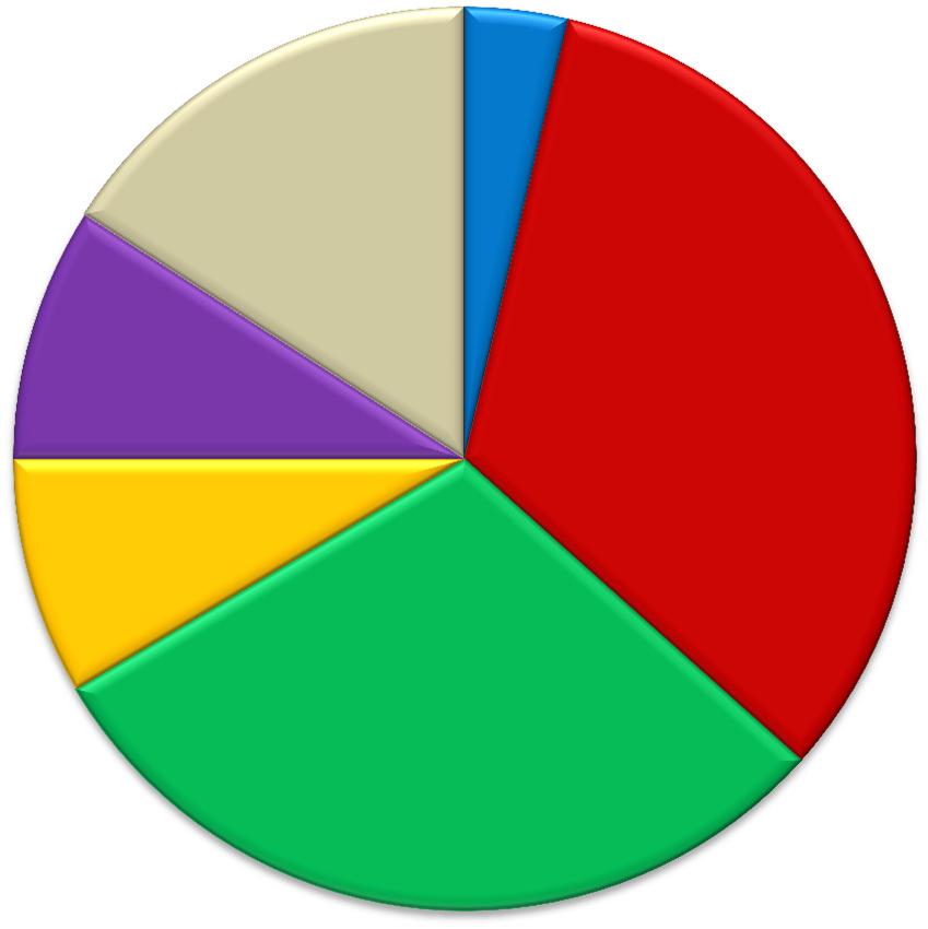 Beurteilung Gemeinde - WEBSITE n = 164 4% sehr gut 9% 9%