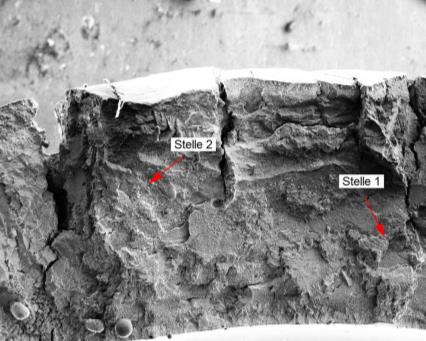 FeMn HC340LA 5 mm Stelle 1 Stelle 2 Wabenstruktur frei erstarrte Dendriten glatte Bruchflächen Abbildung 9-16: REM-Bruchflächen-Analyse einer Erichsenprobe unter Einsatz des niobbeschichteten