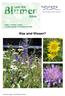 Naturama Aargau: Lasst 1000 Blumen blühen. Was sind Wiesen?