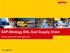 SAP-Strategy DHL Exel Supply Chain. Thomas Lefering, DHL Exel Supply Chain