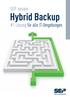 SEP sesam. Hybrid Backup. #1 Lösung für alle IT-Umgebungen. Global Storage Management