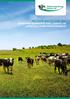 WE TRADE AND ACT FOR YOU: EFFECTIVE MARKETING AND LOGISTIC OF LIVESTOCK FROM PROFFESIONALS