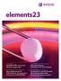 elements23 SCIENCE NEWSLETTER COATINGS SILIKOPON EF: Ein starkes Netzwerk gegen Rost