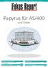 Papyrus für AS/400. und iseries. Das Papyrus Document System. Banca BSI, Italien. Chaucer Insurance, England. Ihr Document Switchboard