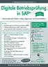 Digitale Betriebsprüfung in SAP
