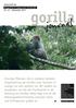 gorilla Zeitschrift der Berggorilla & Regenwald Direkthilfe Nr. 43 Dezember 2011