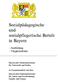 Sozialpädagogische und sozialpflegerische Berufe in Bayern