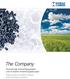 The Company. Hochwertige Aktivkohlequalitäten und innovative Anwendungslösungen High Quality Activated Carbons and Innovative Solutions