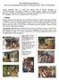 Neue Hoffnung für Familien durch die Spendenhäuschen Aktion der Herbergsuche 2005 in Wolfsgraben