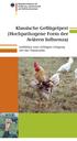 Klassische Geflügelpest (Hochpathogene Form der Aviären Influenza) Leitlinien zum richtigen Umgang mit der Tierseuche