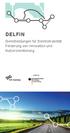 DELFIN. Dienstleistungen für Elektro mobilität Förderung von Innovation und Nutzerorientierung