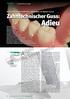 Die Herstellung eines kombinierten Zahnersatzes mit digitaler Technik. Zahntechnischer Guss: Verlag Neuer Merkur