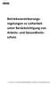 Betriebsvereinbarungsregelungen zu Leiharbeit unter Berücksichtigung von Arbeits und Gesundheitsschutz