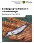 Schädigung von Fischen in Turbinenanlagen. Schriftenreihe, Heft 12/2012