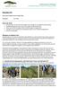Reisebericht. Stiftung Green Ethiopia Gemeinnützige Stiftung für Umwelt und Entwicklung in Äthiopien