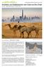 Architektur und Städtebaureise nach Dubai und Abu Dhabi vom 30. Januar 2010 bis 06. Februar 2010