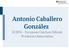 Antonio Caballero González ECSPA - European Calcium Silicate Producers Association
