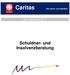 Caritas. Schuldner- und Insolvenzberatung. Jahresbericht 2013. Not sehen und handeln!