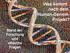 Was kommt nach dem Human-GenomProjekt? Stand der Forschung und ethische Fragen