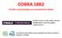 COBRA 18R2 Erstellen und Hochladen von automatischen Skripts