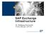 SAP Exchange Infrastructure. Dr. Wolfgang Fassnacht Product Manager, SAP AG