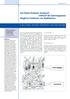 Der Histon-Protamin-Austausch während der Spermiogenese: Mögliche Funktionen von Resthistonen