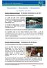 Bereich Waldschwimmbad: 24 Stunden Schwimmen im Juli 2014