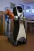 Bedarfsadäquater Robotereinsatz in stationären Pflegeeinrichtungen