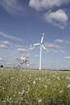 Windkraftnutzung und Artenschutz in Hessen sind vereinbar