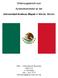 Erfahrungsbericht zum. Auslandssemester an der. Universidad Anáhuac Mayab in Mérida, Mexiko