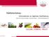 Palettenschulung - Informationen zur täglichen Handhabung. Mag. (FH) Thomas Kitzweger, Corporate Logistics - AGRANA Beteiligungs-AG.