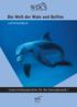 Die Welt der Wale und Delfine
