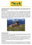 Reiseinformationen zur Reise: Hundewandern in den Ötztaler Alpen 2014