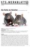 STS-MERKBLATT. Die Ratte als Heimtier RATTUS NORVEGICUS F. DOM.